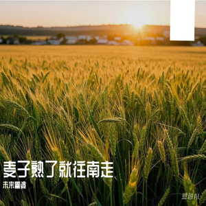 老公插女人视频
