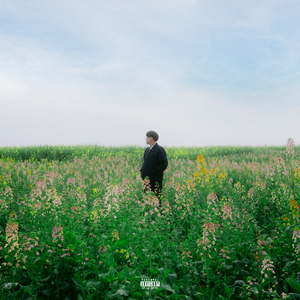 老公插女人视频
