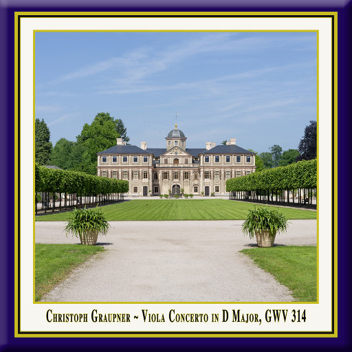 老公插女人视频
